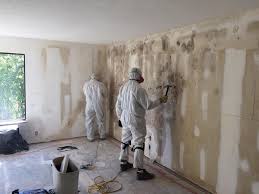 Reliable East Freehold, NJ Mold Removal Services Solutions